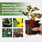 Abono Orgánico Especial a Base de Harina de Huesos - Favorece el Crecimiento de Flores y Frutos